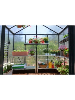Canopia® By Palram Glory™ Greenhouse, 8' 39 Canopia® By Palram Glory™ Greenhouse, 8' -Plant Supports Shop 8591547 02v