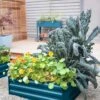 Demeter Corrugated Metal Raised Bed, 34" X 34" 1 Demeter Corrugated Metal Raised Bed, 34" X 34" -Plant Supports Shop 8592119 461 demeter corrugated metal raised bed 34 inch by 34 inch storm blue tif