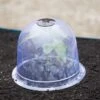 Medium Garden Cloches, Set Of 6 -Plant Supports Shop 8593985 347 tif