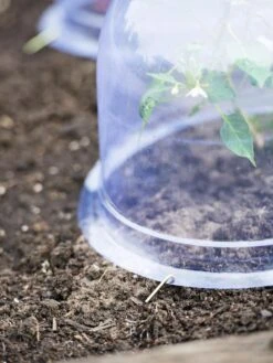 Medium Garden Cloches, Set Of 6 -Plant Supports Shop 8593985 9441 tif