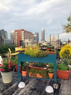 Demeter Mobile Planter Cart -Plant Supports Shop 8594148 01CUST tif