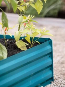 Demeter Corrugated Metal Raised Bed, 34" X 34" 15 Demeter Corrugated Metal Raised Bed, 34" X 34" -Plant Supports Shop 8594183 470 tif