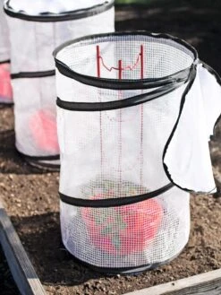 Plant Supports Shop -Plant Supports Shop 8594214 0186 tif