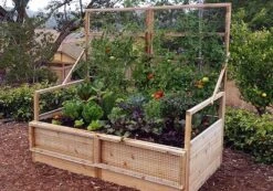 Garden In A Box With Trellis/Lid Option, 3' X 6' 9 Garden In A Box With Trellis/Lid Option, 3' X 6' -Plant Supports Shop 8594505 03V tif