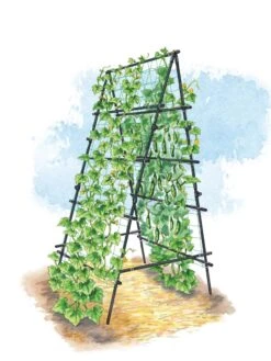 Titan A-Frame Trellis -Plant Supports Shop 8595755 TitanAFrame art tif