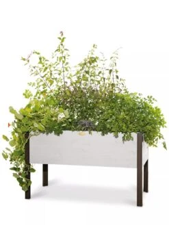 Eco-Stained Elevated Planter Box, 2'x4' -Plant Supports Shop 8596759 3837 tif