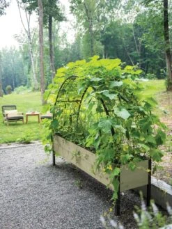 Self-Watering Elevated Planter Box, 2' X 8' 27 Self-Watering Elevated Planter Box, 2' X 8' -Plant Supports Shop 8596760 0046 tif