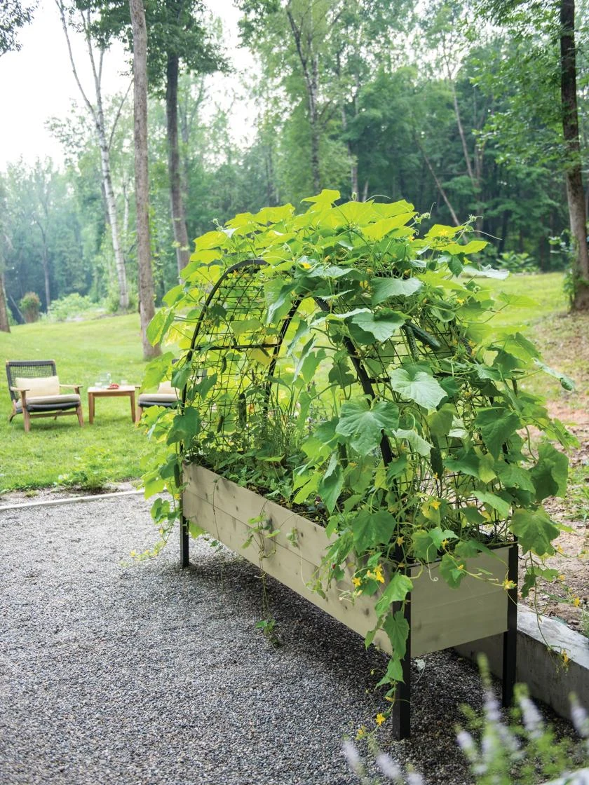 Self-Watering Elevated Planter Box, 2' X 8' 13 Self-Watering Elevated Planter Box, 2' X 8' - Image 11