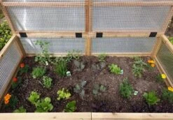 Garden In A Box Cedar Raised Bed With Greenhouse, 3' X 6' -Plant Supports Shop 8597082 03V tif