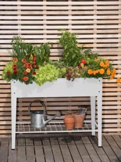 Demeter Elevated Raised Bed -Plant Supports Shop 8597496 0700 tif