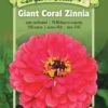 Giant Coral Zinnia Organic Seeds -Plant Supports Shop 8598226 01V tif