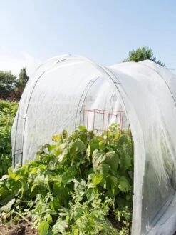 Super Hoop Bases, Set Of 6 -Plant Supports Shop 8598301 0591 tif