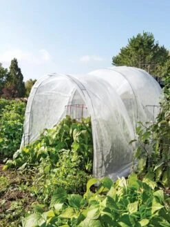 Adjustable Super Hoops, Set Of 3 -Plant Supports Shop 8598301 0611 tif