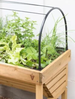 VegTrug® Mini Wallhugger Planter With Cover -Plant Supports Shop 8598339 4004 tif