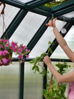 Canopia® By Palram Hobby Gardener Greenhouse, 8' -Plant Supports Shop 8599331 04V tif