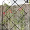 Achla Designs Freestanding Lattice Trellis -Plant Supports Shop 8599475 01V tif