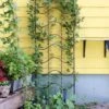 Achla Designs Waves Trellis -Plant Supports Shop 8599491 01V tif