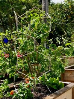 Gardener's Vertex Lifetime Pepper And Eggplant Cage -Plant Supports Shop 8599554 01CUST tif