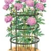 Titan Peony Supports, Large, Set Of 2 1 Titan Peony Supports, Large, Set Of 2 -Plant Supports Shop 8599857 0001 art tif