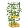 Titan Pepper Eggplant Cages, Set Of 3 -Plant Supports Shop 8599859 0001 art tif