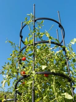 Titan Tall Tomato Cages, Set Of 3 -Plant Supports Shop 8599860 0066 tif
