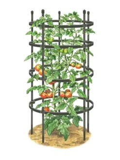 Titan Tomato Cages, Set Of 3 -Plant Supports Shop 8599861 0001 art tif