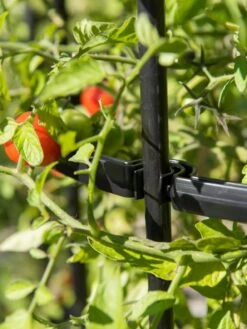 Titan Tomato Cages, Set Of 3 -Plant Supports Shop 8599861 0079 tif