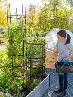 Titan Tomato Cages, Set Of 3 -Plant Supports Shop 8599861 0114 tif