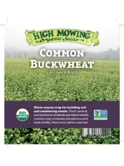 Common Buckwheat Organic Seeds -Plant Supports Shop 8599871 04v