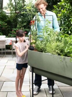 Nest Elevated Planter 18" X 36" 19 Nest Elevated Planter 18" X 36" -Plant Supports Shop 8599885 02V tif
