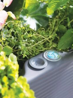 Nest Elevated Planter 18" X 36" 14 Nest Elevated Planter 18" X 36" -Plant Supports Shop 8599885 09V tif