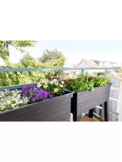 Urban Balcony Elevated Planter Box 15 Urban Balcony Elevated Planter Box -Plant Supports Shop 8600349 01V urban balcony elevated planter box