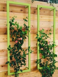 Ina Modern Wall Trellis Sr. 13 Ina Modern Wall Trellis Sr. -Plant Supports Shop 8600510 01V tif