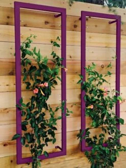 Ina Modern Wall Trellis Sr. 17 Ina Modern Wall Trellis Sr. -Plant Supports Shop 8600510 02V tif