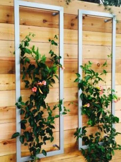Ina Modern Wall Trellis Sr. 16 Ina Modern Wall Trellis Sr. -Plant Supports Shop 8600510 06V tif