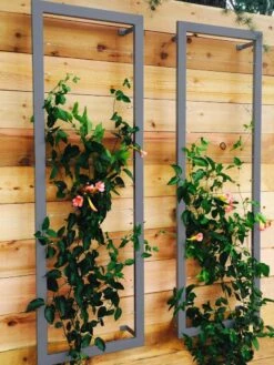 Ina Modern Wall Trellis Sr. 12 Ina Modern Wall Trellis Sr. -Plant Supports Shop 8600510 08V jpg