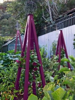 Akoris Garden Tuteur Jr. -Plant Supports Shop 8600517 01V akoris garden tuteur tif 1