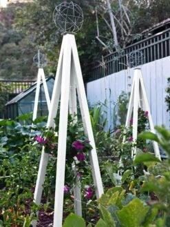 Akoris Garden Tuteur Jr. -Plant Supports Shop 8600517 03V tif 1