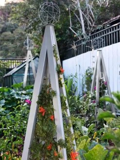 Akoris Garden Tuteur Jr. -Plant Supports Shop 8600517 07V tif