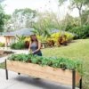Self-Watering Elevated Planter Box, 2' X 8' 1 Self-Watering Elevated Planter Box, 2' X 8' -Plant Supports Shop 8608960 4069 tif