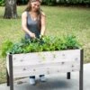 Self-Watering Eco-Stained Elevated Planter Box, 2' X 4' -Plant Supports Shop 8608961 5040 tif