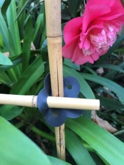 Plant Supports Shop -Plant Supports Shop 8609019 06V tif