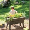 Calipso 3-in-1 Kids Gardening Self-Watering Planter Kit 1 Calipso 3-in-1 Kids Gardening Self-Watering Planter Kit -Plant Supports Shop 8609217 0333 tif