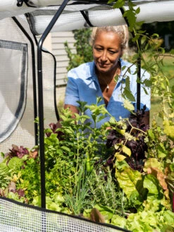 VegTrug®Patio Garden Greenhouse Cover Kit -Plant Supports Shop 8610172 1256