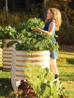 Birdies™ Modular Metal Raised Bed, Tall 13 Birdies™ Modular Metal Raised Bed, Tall -Plant Supports Shop 8610174 05010 tif