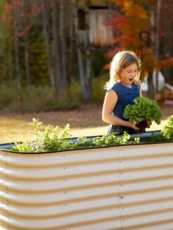 Birdies™ Modular Metal Raised Bed, Tall 12 Birdies™ Modular Metal Raised Bed, Tall -Plant Supports Shop 8610174 5015 tif