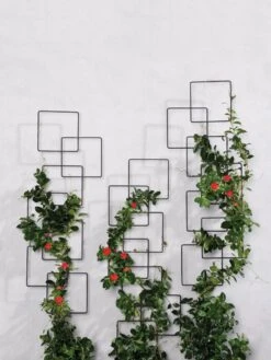 Building Blocks Wall Trellis, 45" -Plant Supports Shop 8610183 5811 tif