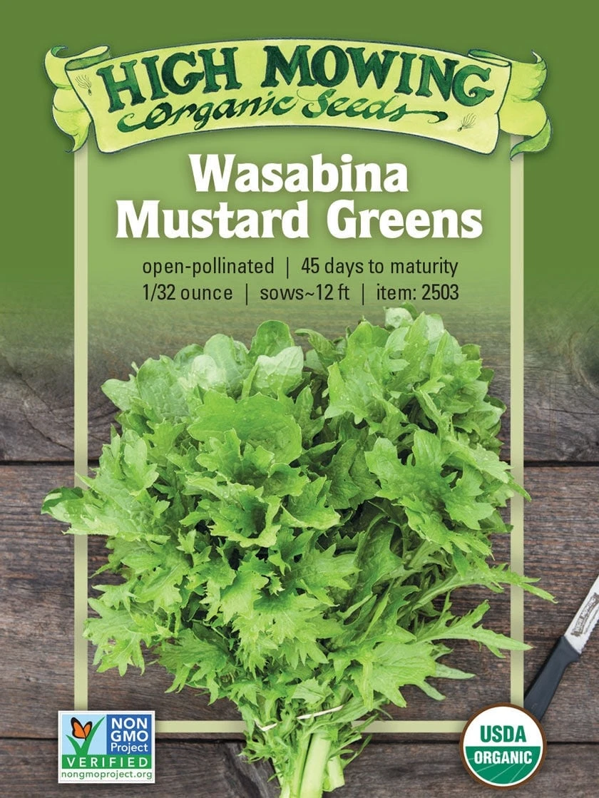 Wasabina Mustard Greens Organic Seeds 3 Wasabina Mustard Greens Organic Seeds