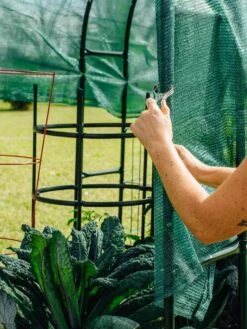 Maxi Garden Hoops With Clips -Plant Supports Shop 8610372 368 tif