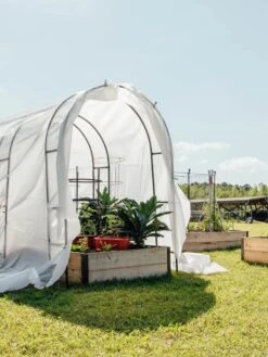 Maxi Garden Quilt 8 Maxi Garden Quilt -Plant Supports Shop 8610373 373 tif